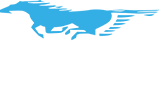 TAKEDA TRANSPORTATION